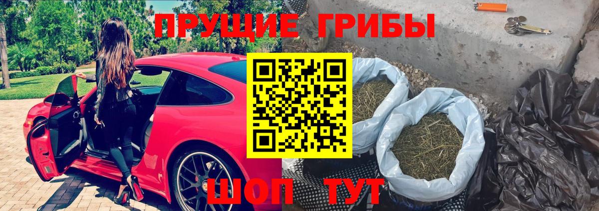 Псилоцибиновые грибы GOLDEN TEACHER  Вход с VPN  Анапа 