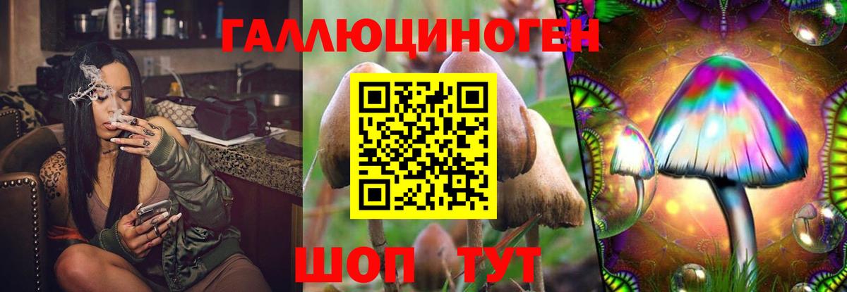 Галлюциногенные грибы Psilocybine cubensis Анапа